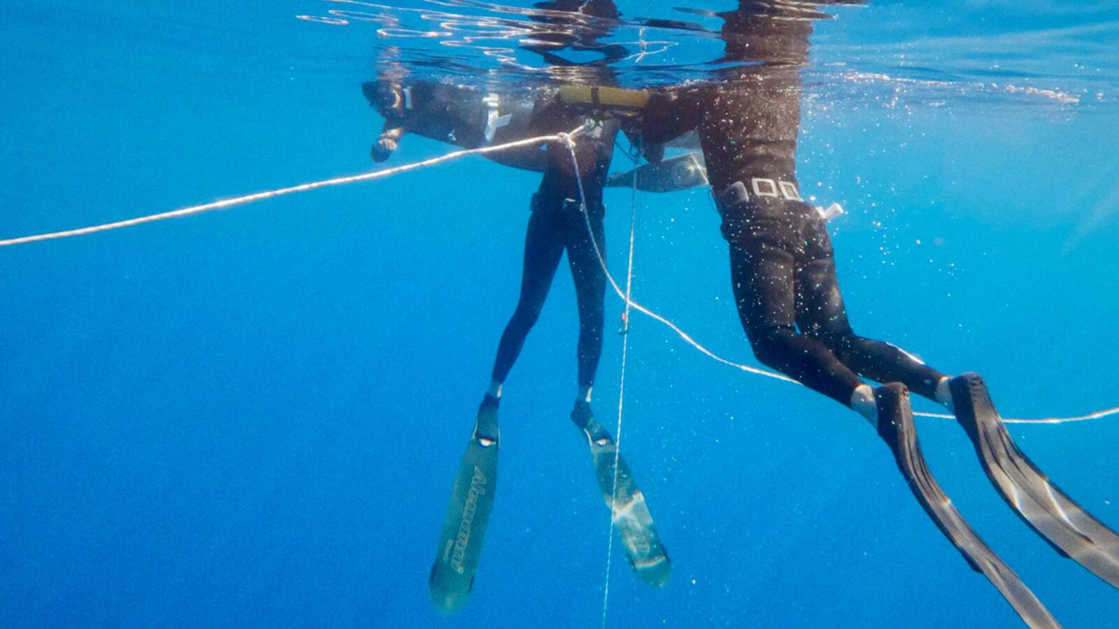 Freediving Coaching